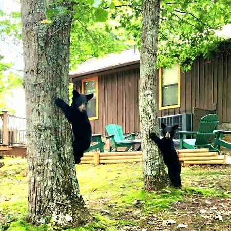 10 Miles Away From The Heart Of It All! Pigeon Forge Dış mekan fotoğraf