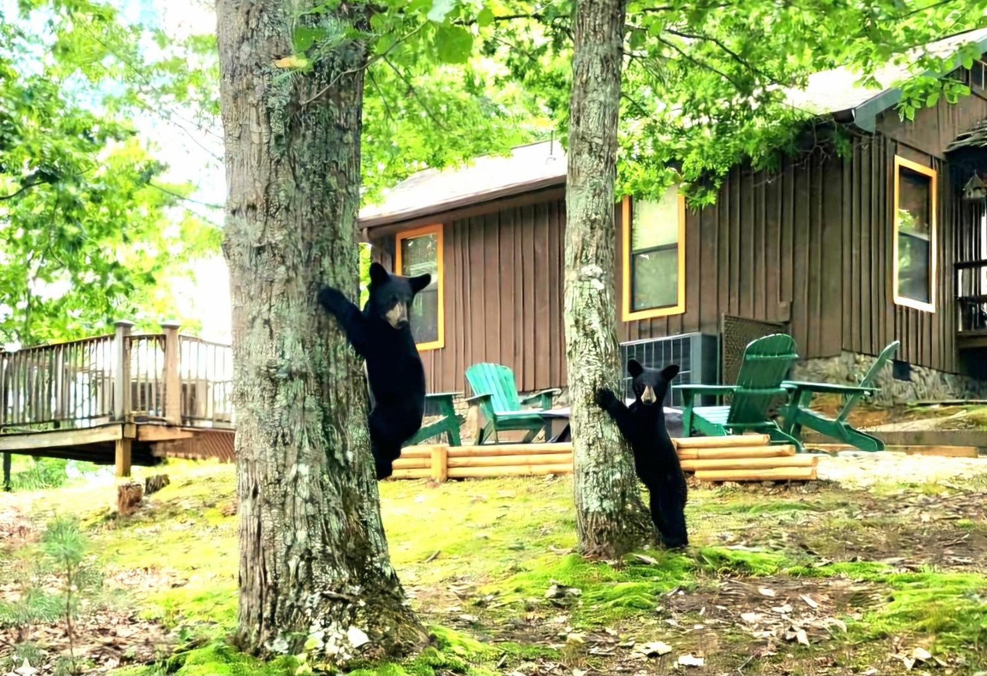 10 Miles Away From The Heart Of It All! Pigeon Forge Dış mekan fotoğraf